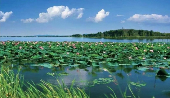 關于全面推進美麗遼寧建設的實施意見（征求意見稿）發布！