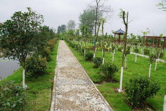 福建省生態環境廳、農業農村廳關于進一步加強農村生活污水治理工作的通知！