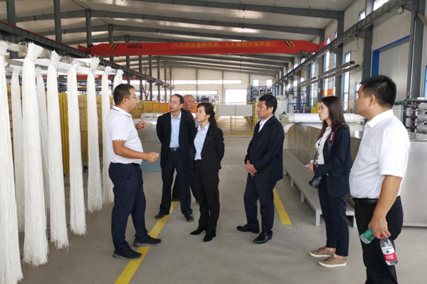 陜西航天建設集團有限公司總經(jīng)理、黨委副書記謝明娟率隊赴遼寧一諾環(huán)保產業(yè)集團開展考察調研工作